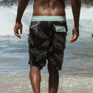 Boardshort Netplus® Recyclé 21" Cruiser - Palmier Noir Délavé