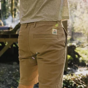 Short en coton bio 365 - Chinchilla Brown